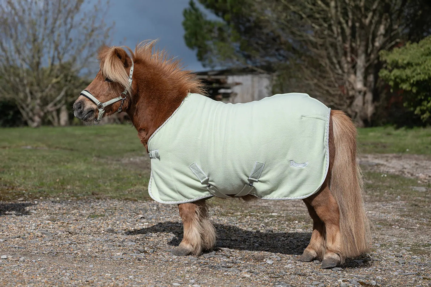 Rhinegold Mini Sorbet Fleece