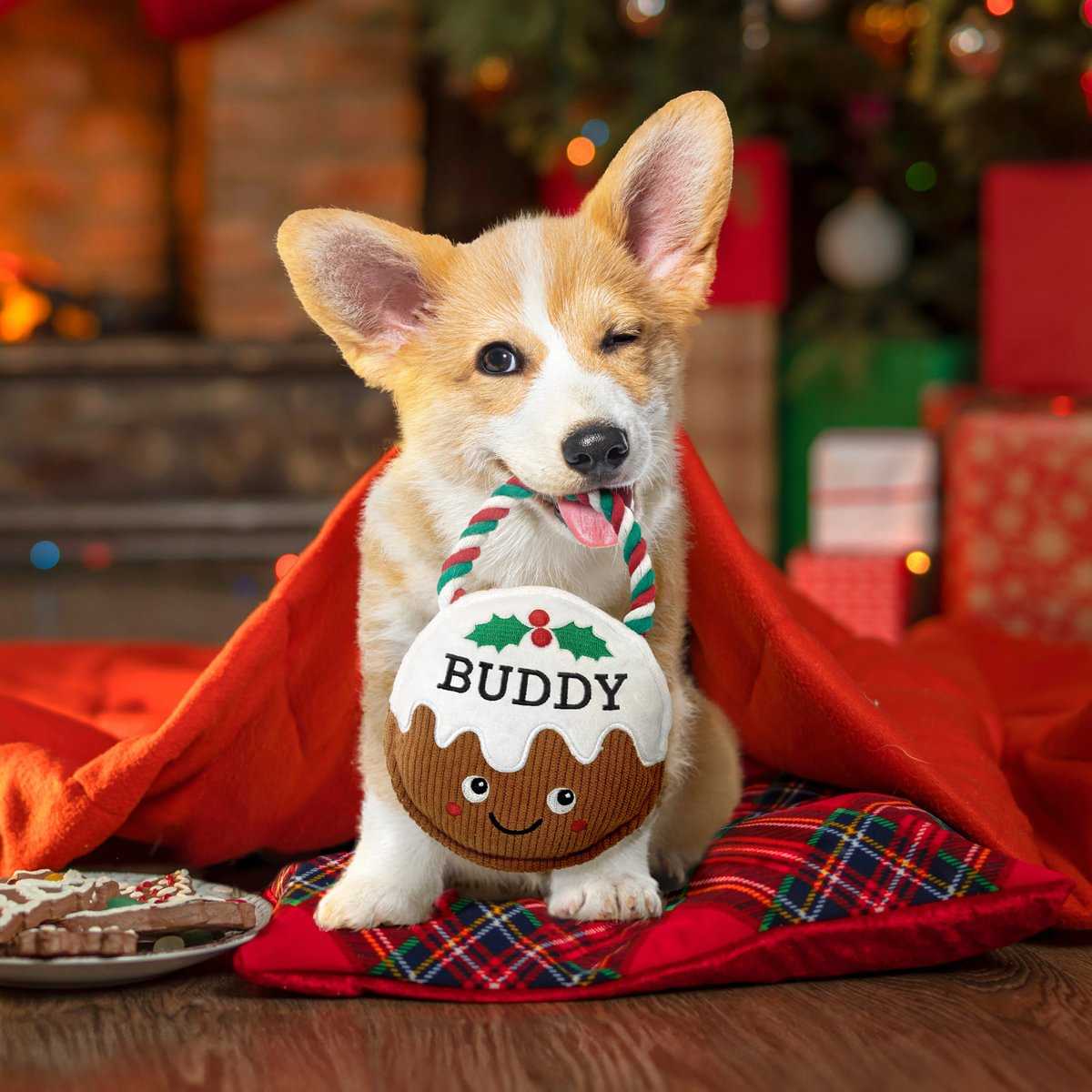 Pre-personalised Christmas Pudding Squeaky Dog Toy Gift