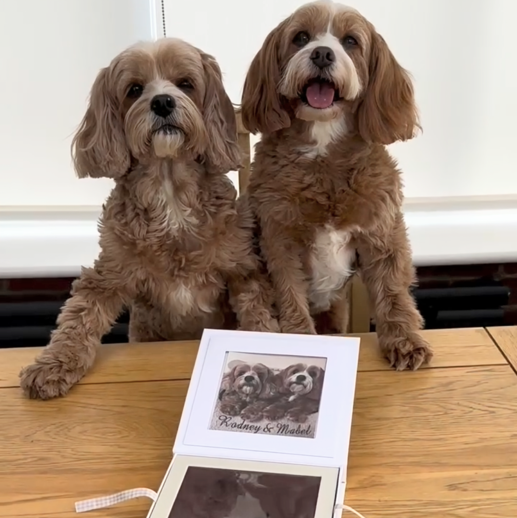 Oh So Precious Paw Pad Impression Kit