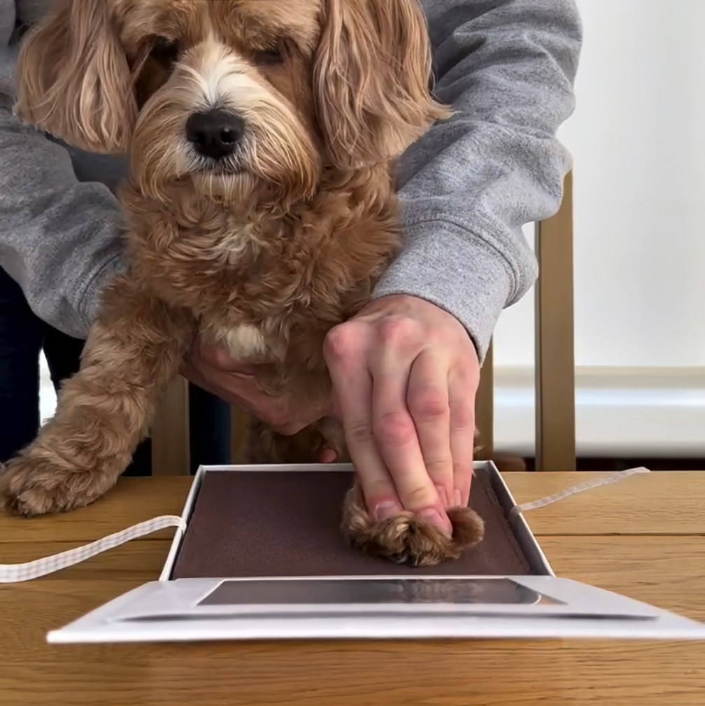 Oh So Precious Paw Pad Impression Kit