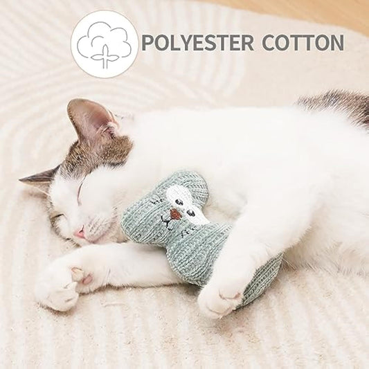 Catnip Toy For Cats & Kittens