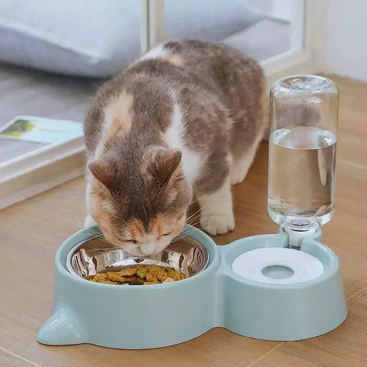 Cat Bowl & Automatic Water Feeder