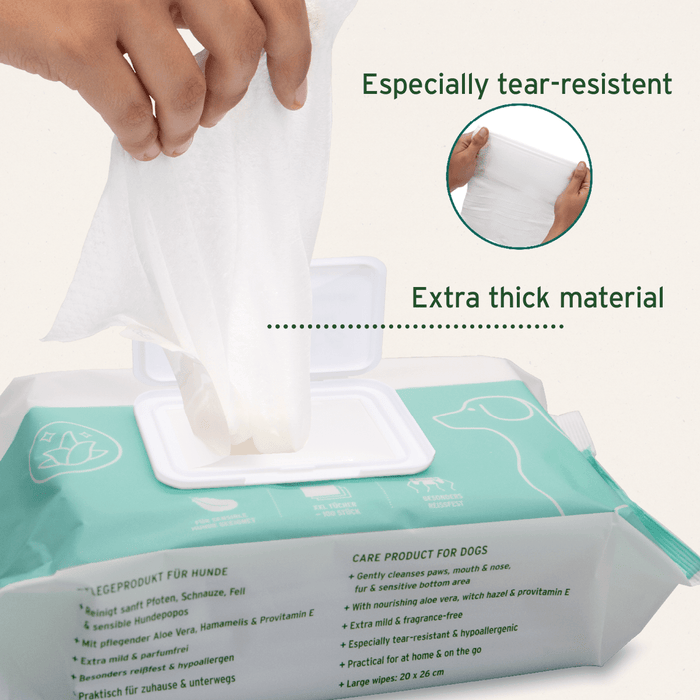 AniForte Care Wipes - 100 Pack