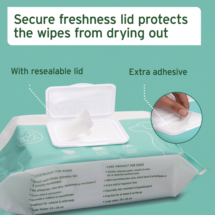 AniForte Care Wipes - 100 Pack