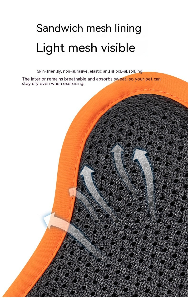 Orange Dog harness - cordura