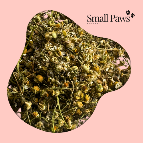 Chamomile Flower