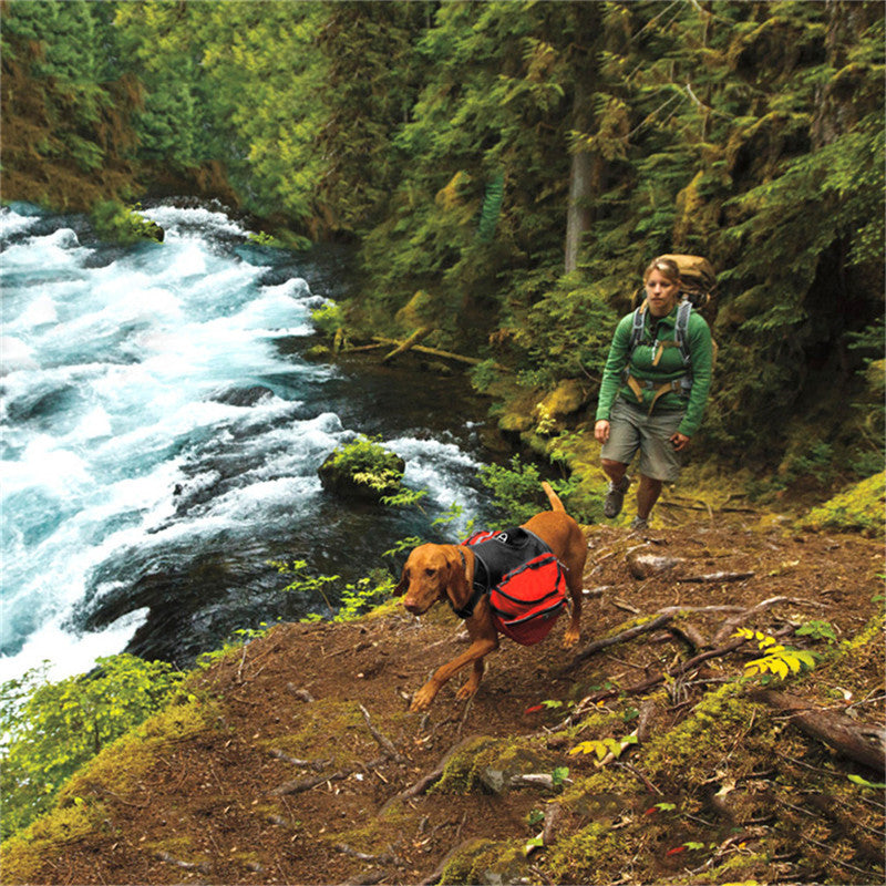 Outdoor Backpack for dogs