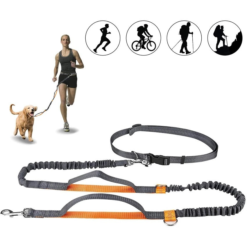 Jogging Adjustable Pet Leash