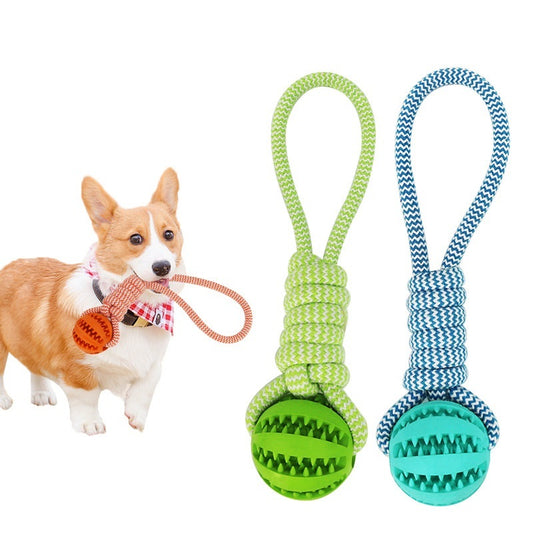 Interactive Treat Balls