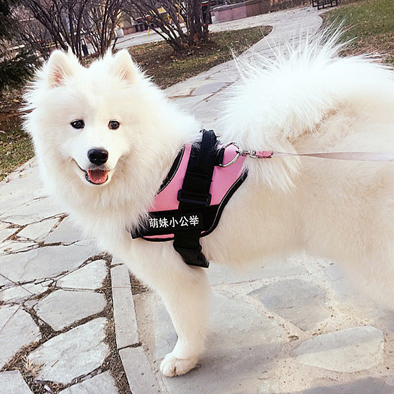 Chest Harness For Dogs
