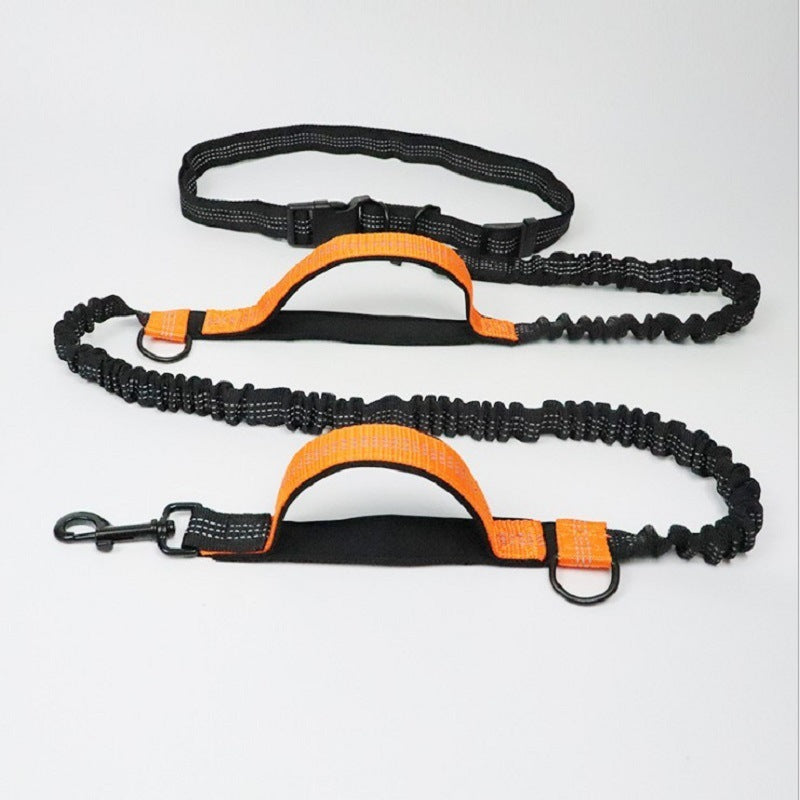 Hands Free Running Leash