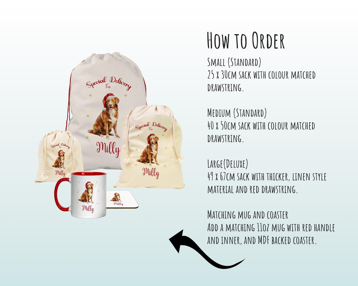 Personalised Nova Scotia Duck Tolling Retriever Large Christmas Sack - Bag for Xmas Presents Christmas Eve Bag Box Decoration for Dogs XS133