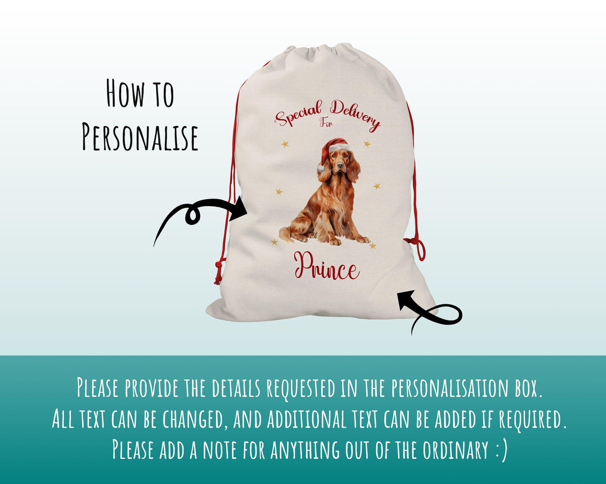 Personalised Irish Setter Large Christmas Sack - Red Drawstring Bag for Xmas Presents - Christmas Eve Bag Box Decoration for Dogs XS114