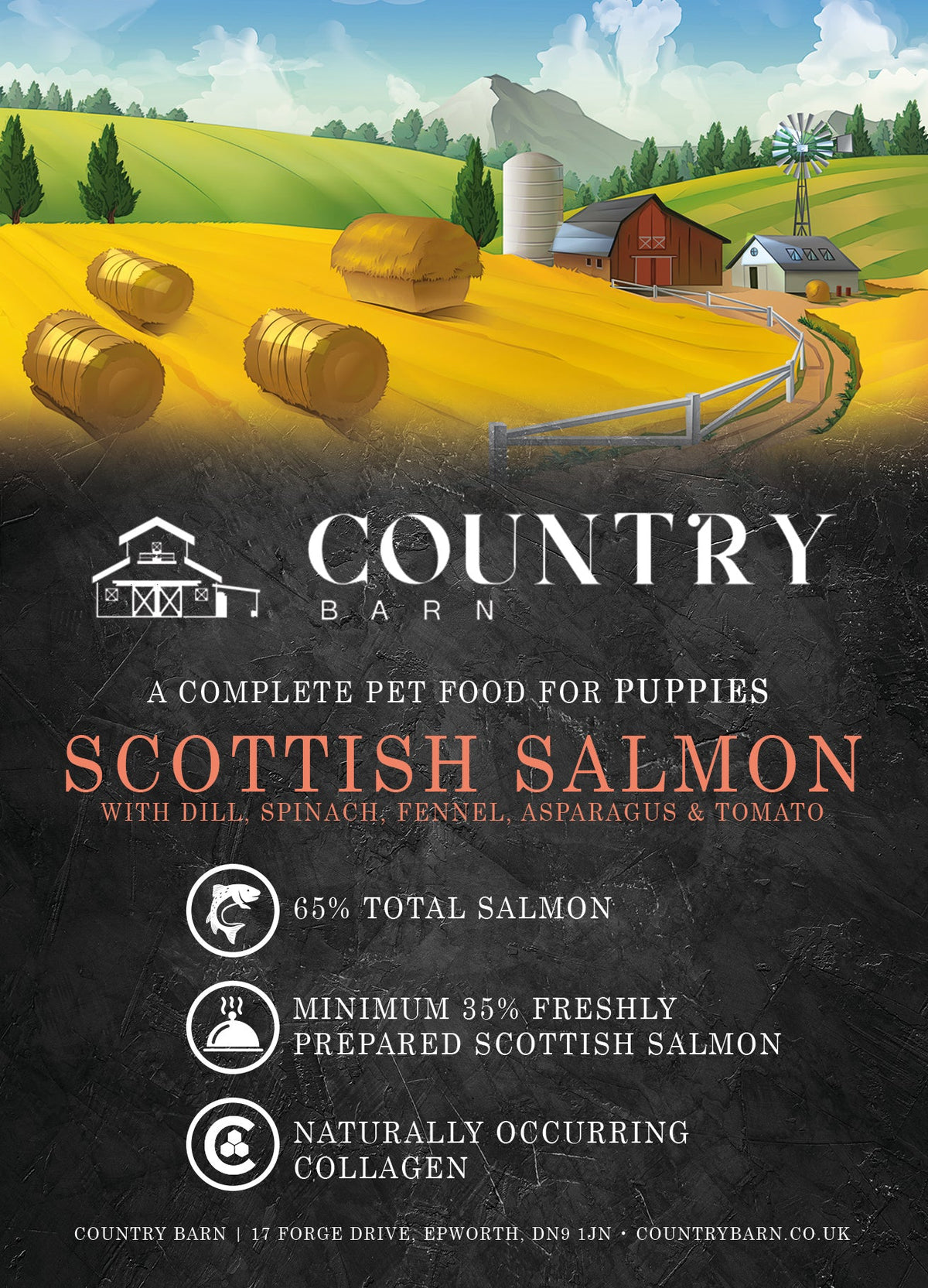 Puppy - Scottish Salmon