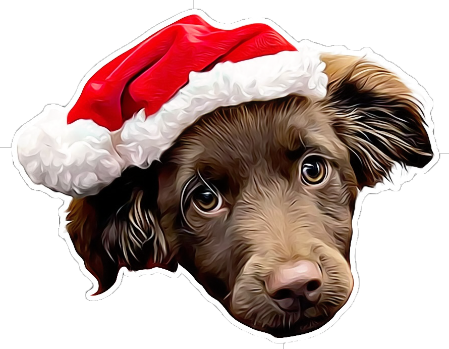 Festive Fudge Dog Air Freshener – Christmas Edition | CEUK