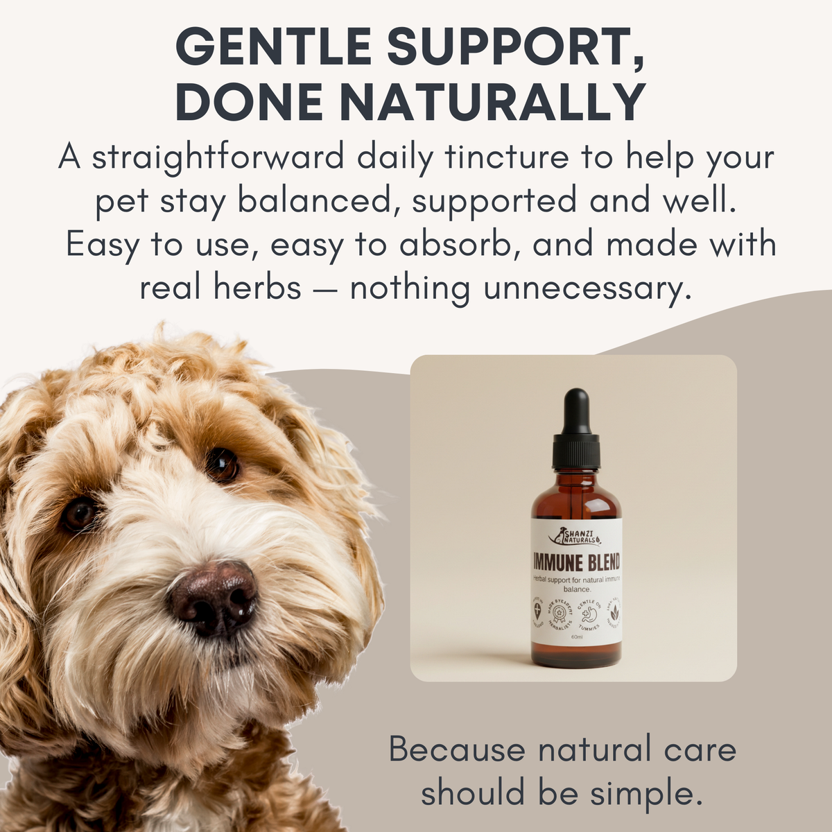 Immune Blend