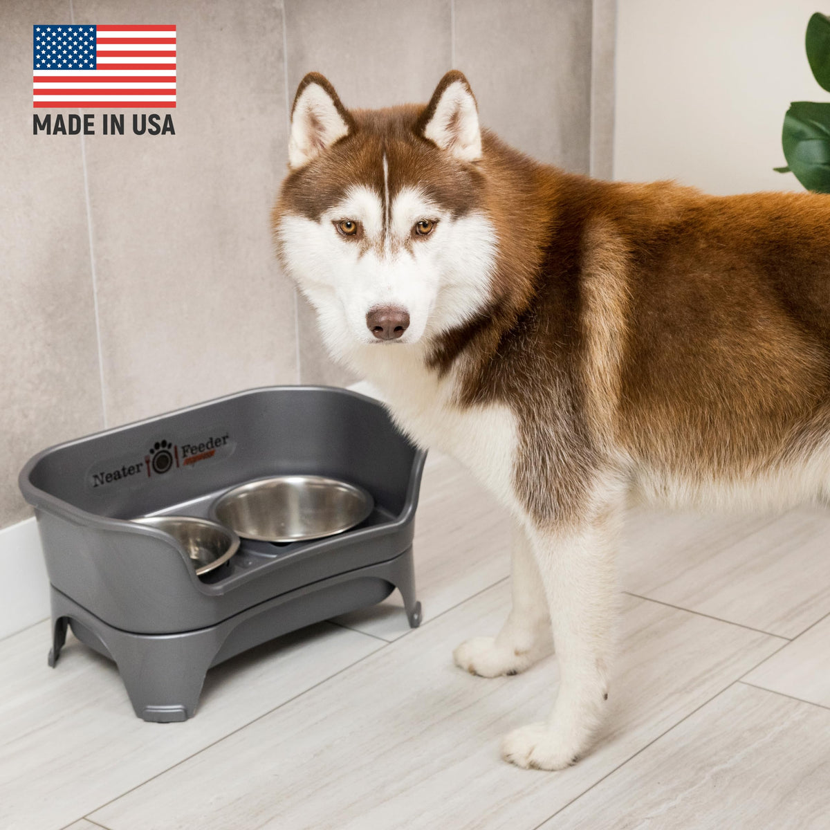 Neater Feeder Express Mess-Proof Elevated Dog Bowls for Medium to Large Dogs | Stainless Steel Bowls, Grey