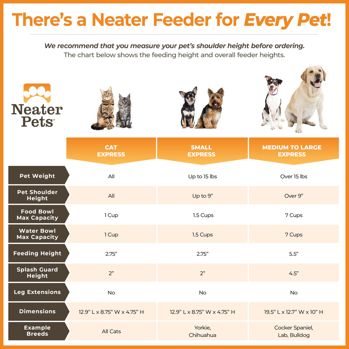 Neater Feeder Express Mess-Proof Elevated Dog Bowls for Medium to Large Dogs | Stainless Steel Bowls, Grey