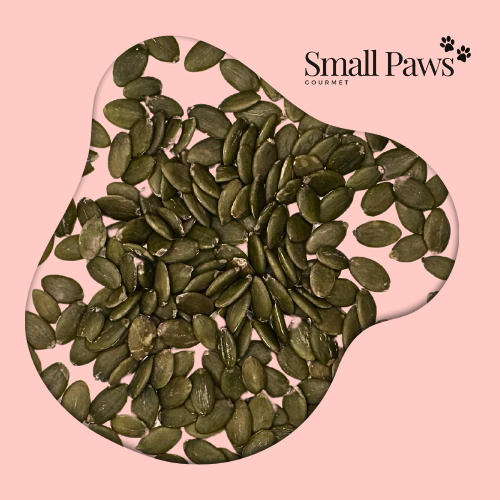 Pumpkin Seeds