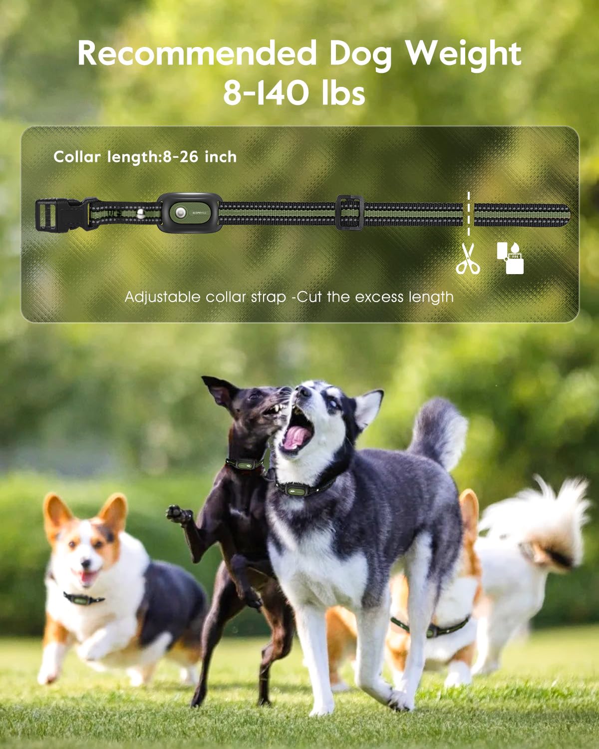 SLOPEHILL Dog Training Collar 2-Pack — 4200ft Remote, IP68 Waterproof, Beep, Vibration, Light, No Shock